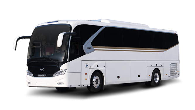 Large Coach Large Coach